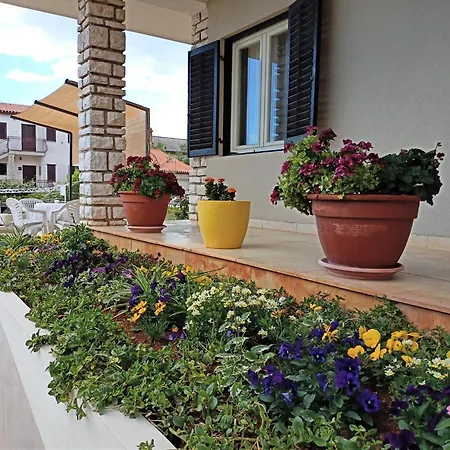 Apartman Cozy In The City Center
